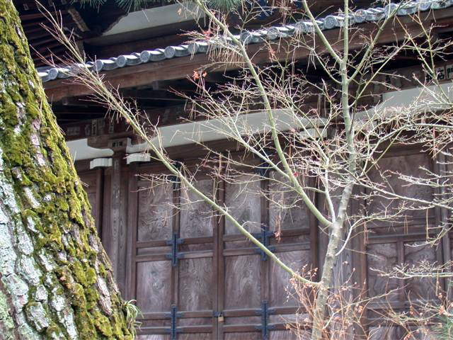 Eikando Temple Garden