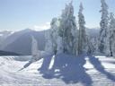 Hurricane Ridge Snow Scene